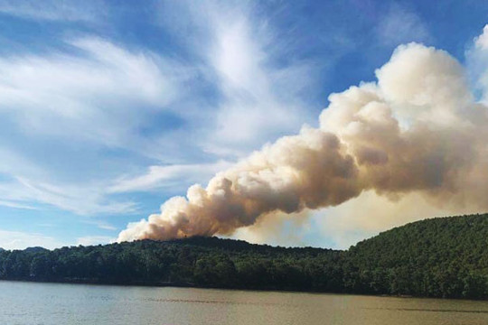 Đã dập tắt vụ cháy rừng ở huyện Sóc Sơn