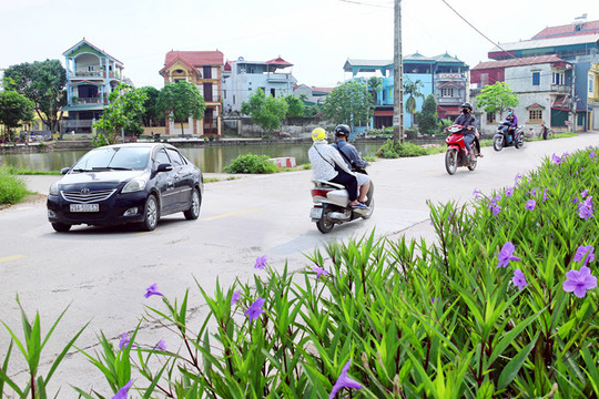 Hà Nội phấn đấu đến năm 2025 có 100% huyện, xã đạt chuẩn nông thôn mới