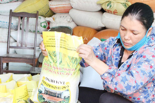 Chợ thương mại nông sản điện tử: Kênh mua sắm mới của người Hà Nội