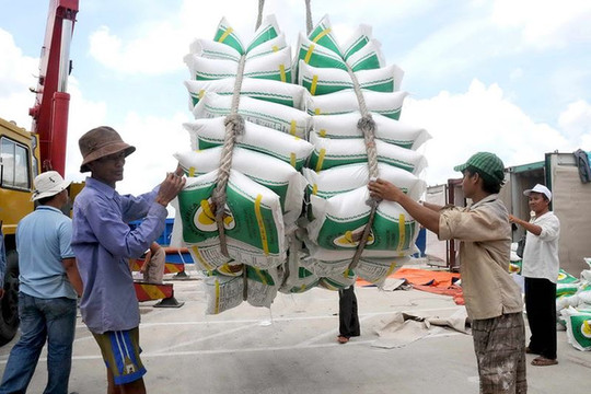 Giá lúa gạo xuất khẩu của Việt Nam cao hơn Thái Lan, Ấn Độ