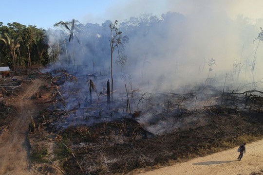 Amazon hoang tàn bởi cháy rừng