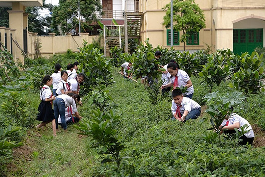 “Quỹ 1 triệu cây xanh cho Việt Nam” - lan tỏa tình yêu thiên nhiên, môi trường tới học sinh