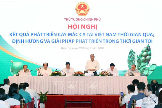 Thủ tướng Nguyễn Xuân Phúc: Cây mắc ca ''đi sau nhưng phải về trước''