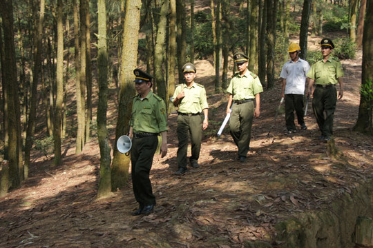 Tăng cường kiểm tra, phòng ngừa cháy rừng tại huyện Sóc Sơn