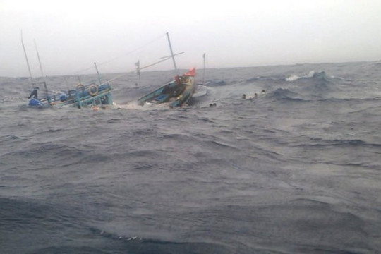 Tàu cá bị chìm khi trên đường tránh bão, 12 ngư dân mất tích