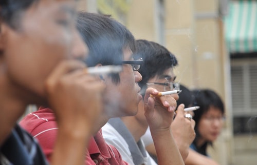 Sẽ thí điểm phần mềm giám sát vi phạm quy định phòng, chống tác hại thuốc lá tại Hà Nội