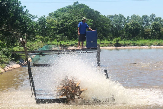Ứng Hòa có khoảng 3.950ha nuôi trồng thủy sản