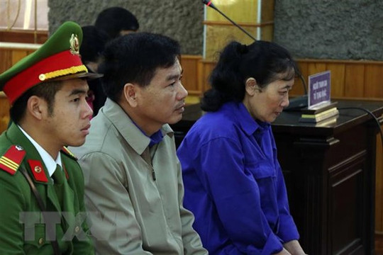 Vụ án gian lận thi cử tại Sơn La: Y án sơ thẩm đối với các bị cáo