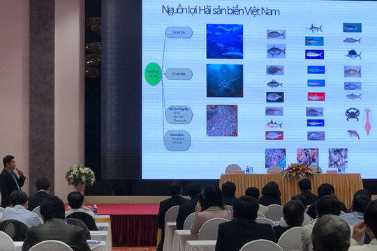 Phát triển nguồn lợi thủy sản gắn với bảo tồn biển Việt Nam