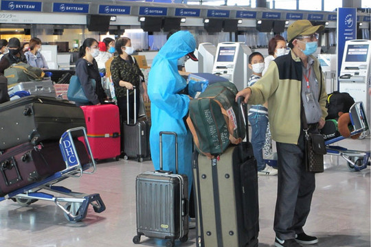 Đưa hơn 690 công dân Việt Nam từ Nhật Bản và Hàn Quốc về nước an toàn