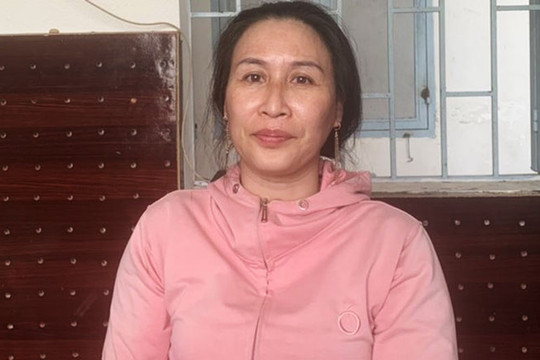Bắt tạm giam Lê Thị Bình về hành vi lợi dụng các quyền tự do dân chủ