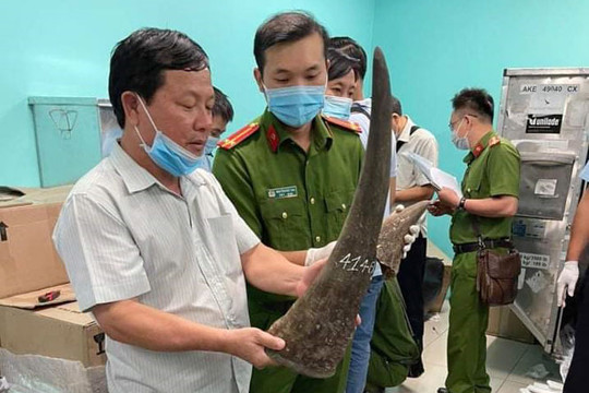 Thành phố Hồ Chí Minh: Bắt lô hàng 93kg nghi là sừng tê giác