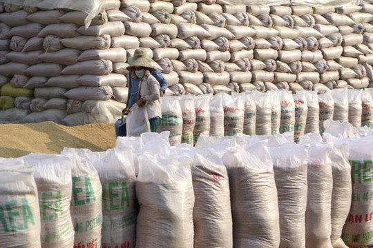 Việt Nam nhập khẩu gạo từ Ấn Độ không phải do thiếu lương thực