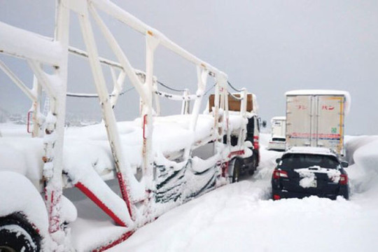 Tuyết rơi dày đặc làm tê liệt giao thông ở miền Trung Nhật Bản