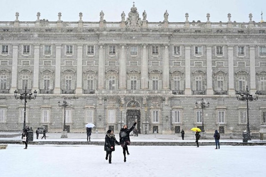Thủ đô của Tây Ban Nha chìm trong tuyết rơi dày nhất nửa thế kỷ