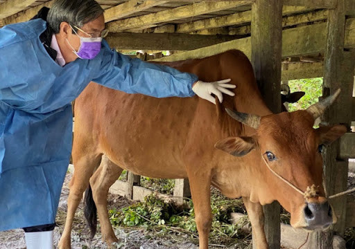 Xây dựng tối thiểu 20 cơ sở chăn nuôi gia súc an toàn dịch bệnh