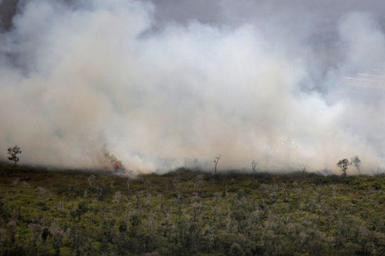 Nguy cơ cháy rừng gia tăng tại Indonesia
