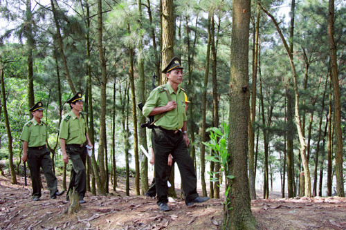Tỷ lệ độ che phủ rừng của Hà Nội là 5,67%