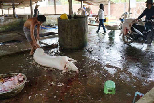 Xã Đông Sơn (huyện Chương Mỹ): Không còn hộ giết mổ lợn nhỏ lẻ
