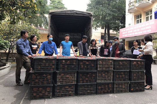Hội Nông dân Hà Nội tiêu thụ 31 tấn cam sành cho nông dân tỉnh Hà Giang