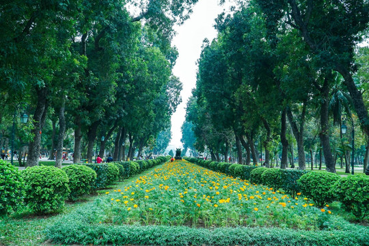 Hà Nội xưa và nay: Công viên Thống Nhất