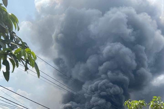 Thành phố Hồ Chí Minh: Hai vụ cháy nhà xưởng ở huyện Bình Chánh