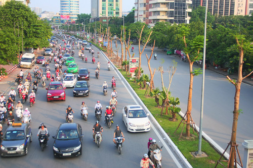 Hà Nội sẽ trồng mới hơn 554.000 cây xanh đô thị