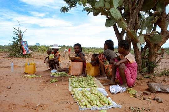 Madagascar: Hạn hán nghiêm trọng khiến hơn 1 triệu người đối mặt nạn đói