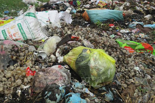 Cần dẹp bỏ bãi rác tự phát ở làng Lưu Xá