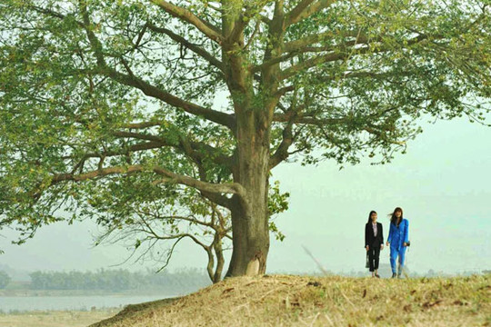 Về với cuộc sống nông thôn trong phim mới ''Mùa hoa tìm lại''