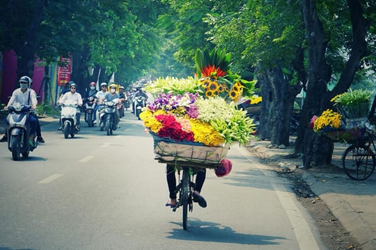 Những xe hoa chở mùa qua phố