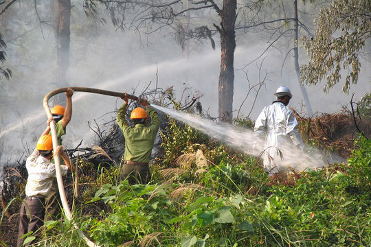 Nắng nóng gay gắt, cấp bách thực hiện các biện pháp phòng cháy rừng