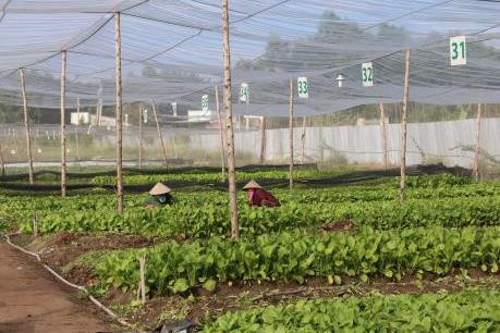 Phú Xuyên gỡ khó cho kinh tế trang trại