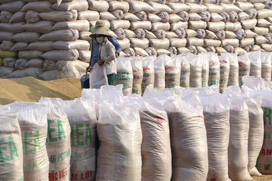 Hỗ trợ gạo cho tỉnh Quảng Trị thời gian giáp hạt