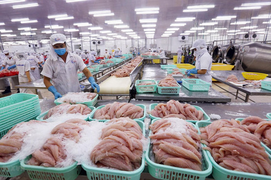 Cảng Trạm Giang (Trung Quốc) tạm dừng nhập khẩu thực phẩm đông lạnh