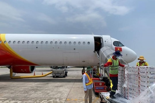 Vietjet chung tay đưa vải thiều Việt Nam xuất ngoại