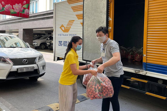 Bưu điện Hà Nội hỗ trợ tiêu thụ 160 tấn vải thiều Bắc Giang