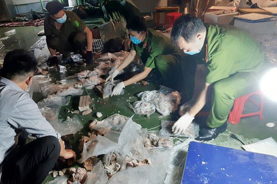 Phát hiện lượng lớn ma túy giấu trong nội tạng lợn đông lạnh tại cảng Hồng Vân (Hà Nội)
