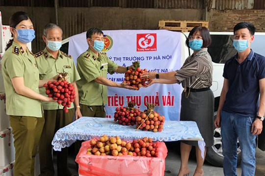 Cục Quản lý thị trường Hà Nội: Hỗ trợ người dân Bắc Giang tiêu thụ vải thiều