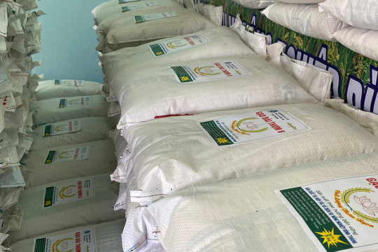 Tặng 10 tấn gạo cho lao động nữ bị ảnh hưởng bởi dịch Covid-19 tại tỉnh Hà Tĩnh