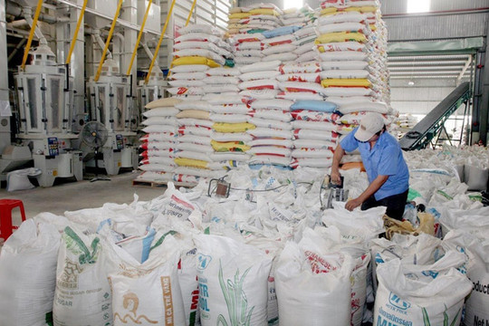 Hỗ trợ gạo cho các địa phương thực hiện giãn cách xã hội