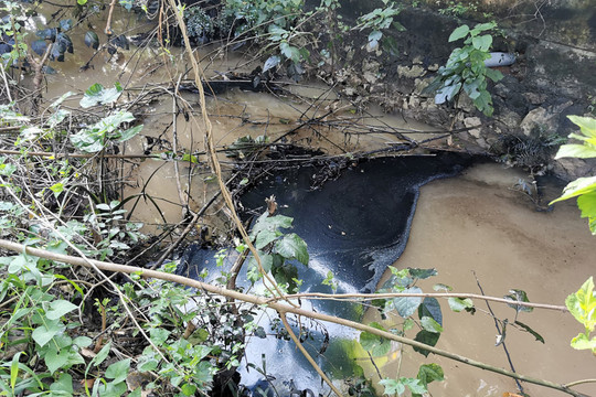 Điều tra vụ xả thải dầu nhớt đen tại xã Tích Giang, huyện Phúc Thọ