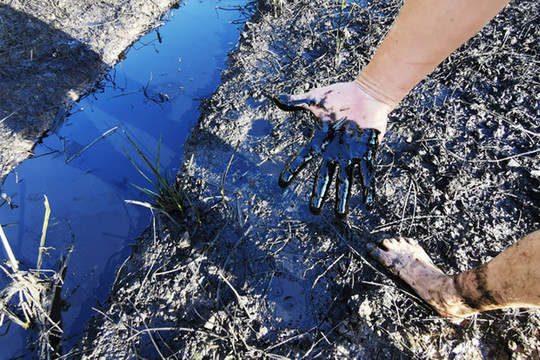 Xác định được 4 vị trí đổ trộm dầu thải ra môi trường ở huyện Phúc Thọ