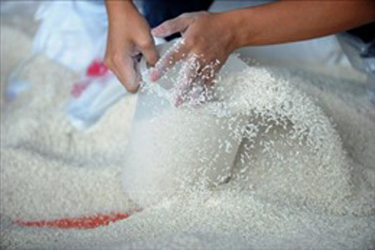 Xuất cấp hơn 136.000 tấn gạo dự trữ hỗ trợ người dân gặp khó khăn do dịch