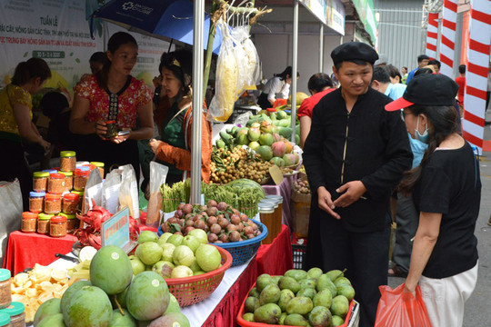 Hà Nội: Dự kiến tổ chức lễ hội trái cây vào tháng 11