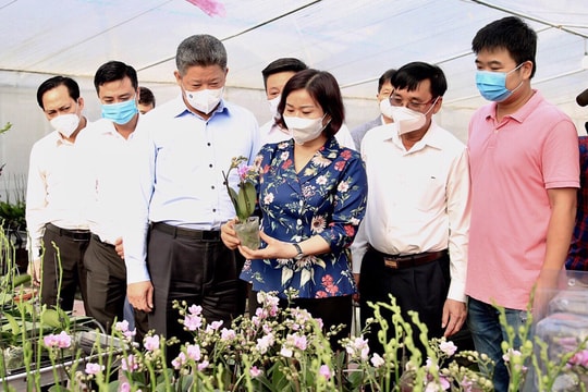 Hỗ trợ, tháo gỡ khó khăn để Thanh Oai trở thành quận giai đoạn 2025-2030