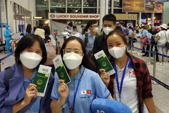 Nhật Bản "mở cửa" tiếp nhận lại lao động Việt Nam từ ngày 8-11