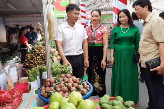 Liên kết vùng, kết nối cung cầu hàng hóa trong năm 2022