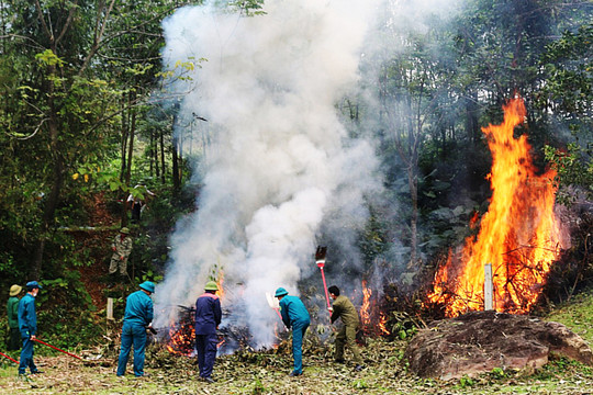 Tập huấn nâng cao năng lực phòng cháy, chữa cháy rừng cho lực lượng kiểm lâm