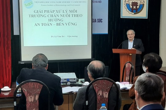 Tìm giải pháp xử lý ô nhiễm môi trường chăn nuôi gia súc